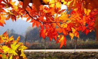 Vremea se va răci accentuat începând de miercuri, cu temperaturi care vor fi cu până la 15 grade mai scăzute