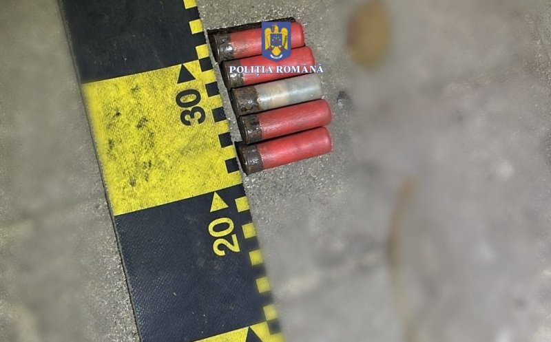 Pe modelul ”lupul, paznic la oi”, pădurari din Cluj și Sălaj delapidau fodul forestier / Ce metodă aveau pădurarii ”penali”