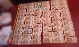 Pe modelul ”lupul, paznic la oi”, pădurari din Cluj și Sălaj delapidau fodul forestier / Ce metodă aveau în dosarul cu un prejudiciu de peste 80.000 l