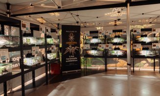 La Iulius Mall Cluj, expoziția educativă Taranterra te invită în lumea exotică a celor 70 de exemplare de reptile și tarantule vii