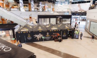 La Iulius Mall Cluj, expoziția educativă Taranterra te invită în lumea exotică a celor 70 de exemplare de reptile și tarantule vii