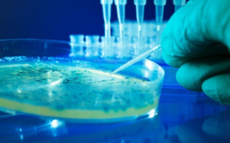 Cocktailul viral care distruge 99% din superbacteriile din spitale