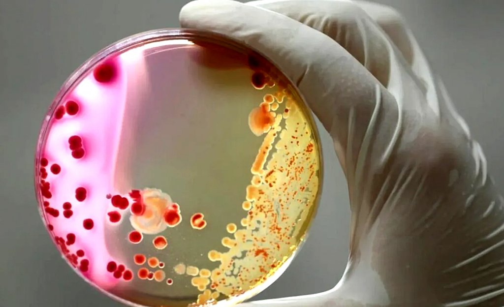 Unde a fost descopertă BACTERIA UCIGAȘĂ în spitalul Sf. Maria / Infecția nu a fost raportată la timp