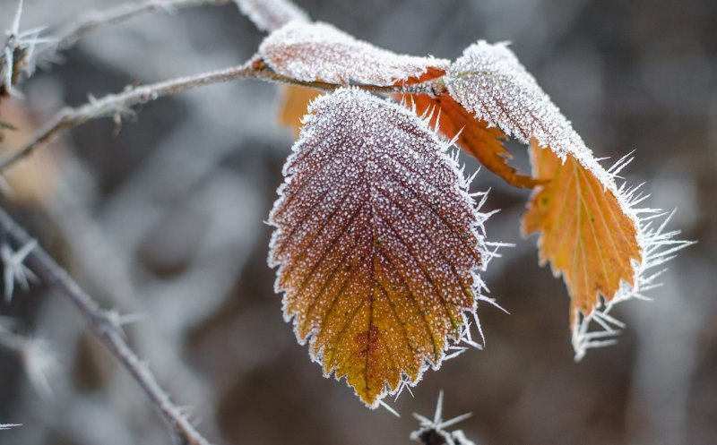 Vreme foarte rece, ploi şi vânt, iar la munte va ninge, de joi până sâmbătă seară