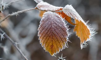 Vreme foarte rece, ploi şi vânt, iar la munte va ninge, de joi până sâmbătă seară