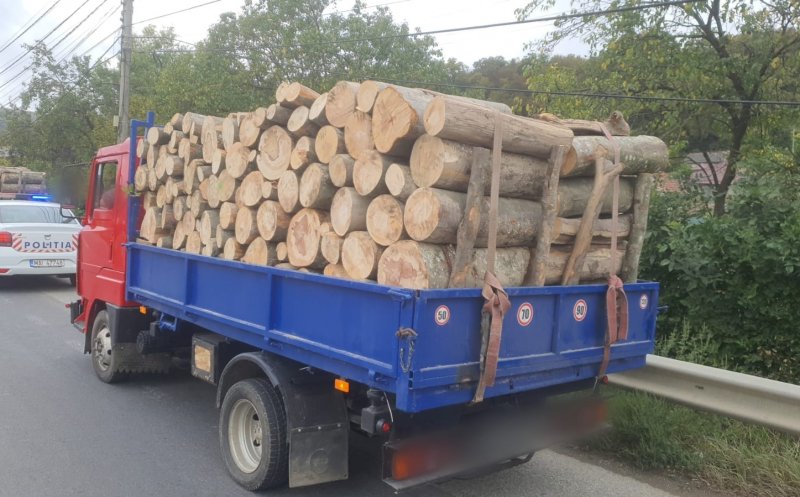 Transporturi ilegale de lemn, depistate la Cluj. Poliția a dat amenzi grele și a confiscat peste 4,4 mc