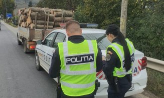 Transporturi ilegale de lemn, depistate la Cluj! Poliția a dat amenzi grele și a confiscat peste 4,4 mc