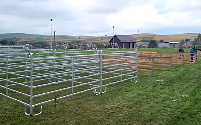 Se pregătesc standurile pentru ”Sărbătoarea Crescătorilor de Animale” din județul Cluj: ”Celebrăm munca oamenilor și frumusețea animalelor”