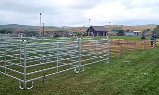 Se pregătesc standurile pentru ”Sărbătoarea Crescătorilor de Animale” din județul Cluj: ”Celebrăm munca oamenilor și frumusețea animalelor”