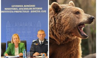 Satele din Cluj, terorizate de urși: autoritățile cer schimbări legislative pentru a proteja oamenii și bunurile