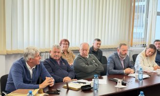 Satele din Cluj, terorizate de urși: autoritățile cer schimbări legislative pentru a proteja oamenii și bunurile