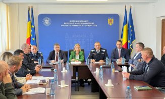 Satele din Cluj, terorizate de urși: autoritățile cer schimbări legislative pentru a proteja oamenii și bunurile