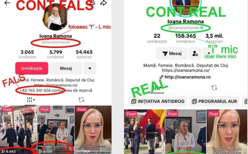Deputatul clujean Ramona Bruynseels, victimă a unui atac cibernetic pe TikTok. "Vă rog să fiți atenți"