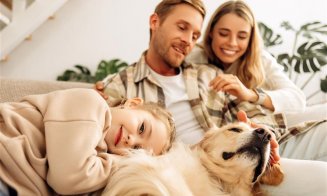 Ce trebuie să știi despre schimbarea furnizorului de energie