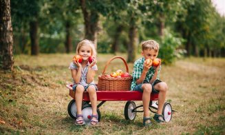 Ce trebuie să știi despre schimbarea furnizorului de energie