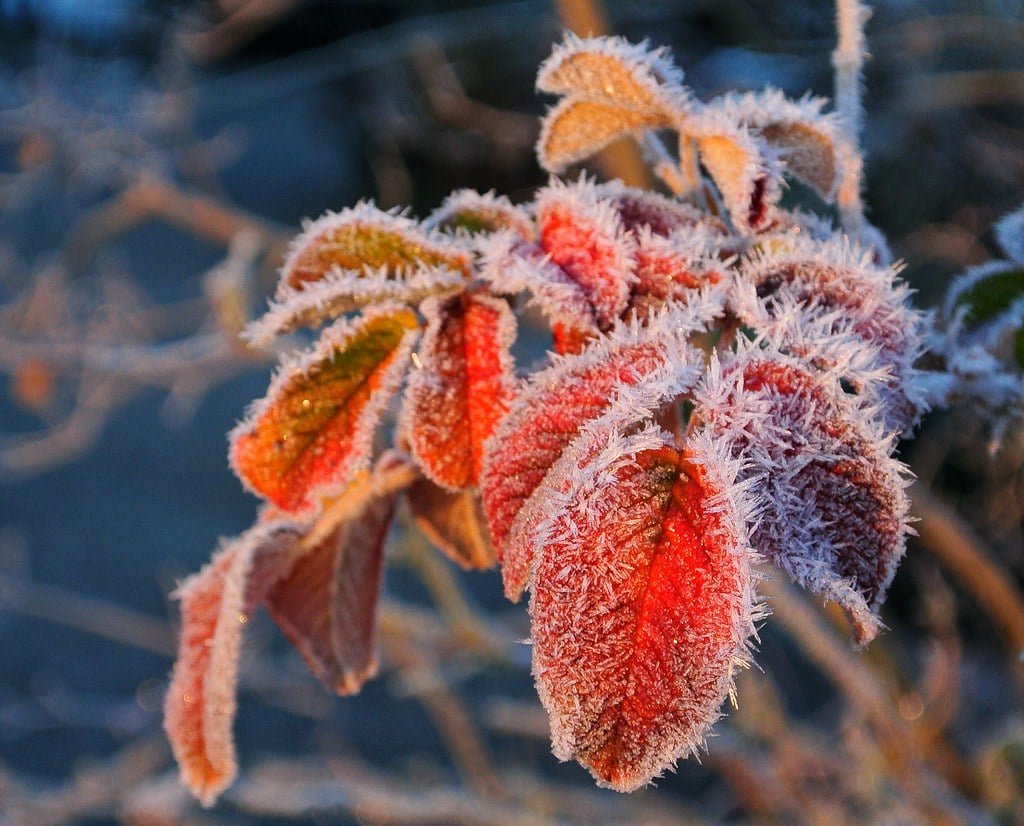 Masă de AER POLAR peste România. Urmează temperaturi la pragul înghețului