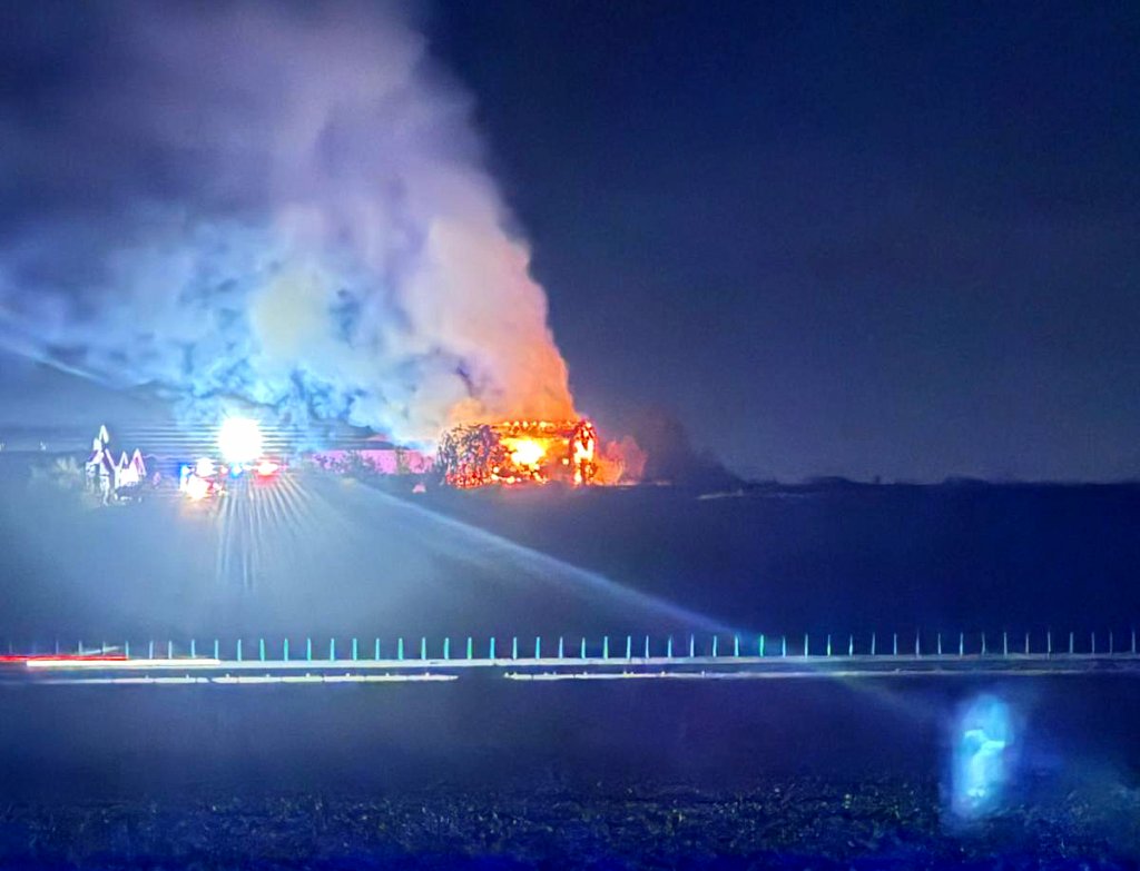 INCENDIU în Cluj: Cabană făcută scrum și risc de extindere a focului la un adăpost de animale cu 200 de vaci / De la ce a pornit focul