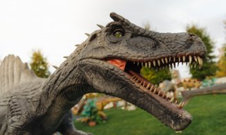 Descoperă „Lumea Dinozaurilor și Monștrilor Marini” la Iulius Mall Cluj