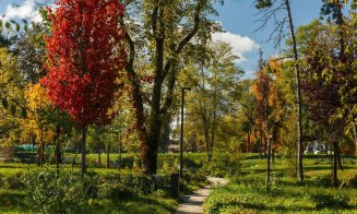 Clujul, în straie de toamnă. Emil Boc: "Parcurile și străzile orașului s-au îmbrăcat în culori calde și plăcute"