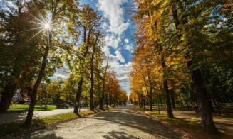 Clujul, în straie de toamnă. Emil Boc: "Parcurile și străzile orașului s-au îmbrăcat în culori calde și plăcute"