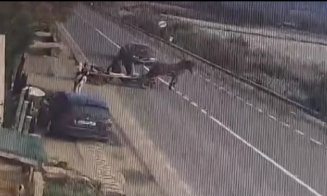 Accidentul cumplit din Sânpaul, Cluj, surprins de o cameră de supraveghere: o mașină a lovit în plin o căruță. Calul a murit, iar un tânăr a fost rănit