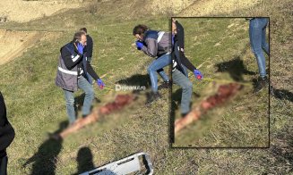 CADAVRUL bărbatului sfâșiat de fiare lângă o stână din Cluj a fost identificat