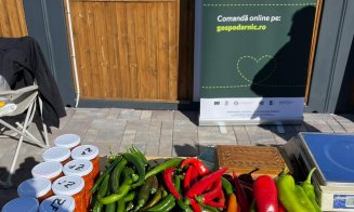 Târgul producătorilor locali din Florești: legume și fructe proaspete, lactate și produse apicole. „Toate pline de gust, culoare și nutrienți”