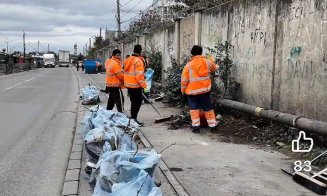 Acțiune de igienizare pe Calea Dezmirului. În urmă cu două săptămâni, au fost ridicate peste 48 de tone de deșeuri