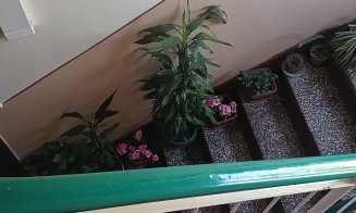 În caz că nu știați, ghivecele cu flori de pe casa scărilor sunt INTERZISE. Blochează evacuarea și intervenția în caz de incendiu