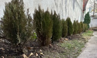 Cum a prins viață zidul gol din curtea Muzeului Etnografic din Cluj-Napoca