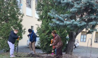 Cum a prins viață zidul gol din curtea Muzeului Etnografic din Cluj-Napoca