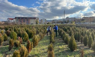 Cum a prins viață zidul gol din curtea Muzeului Etnografic din Cluj-Napoca