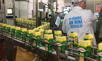 Consiliu Concurenței avertizează: achiziția Napolact de către grupul Bonafarm poate influența structura pieței lactatelor