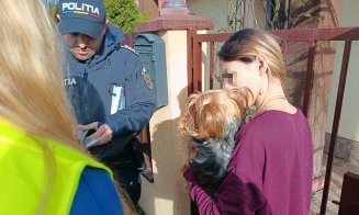 CJ Cluj pornește în teren pentru gestionarea responsabilă a câinilor din județ. Prima etapă, în Apahida