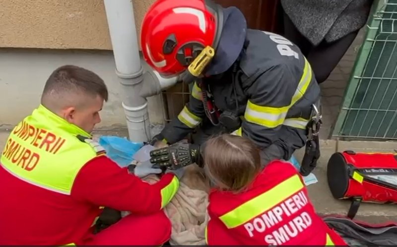 De la ce a pornit incendiul din Florești. O pisică a murit, dar alte 6 au fost salvate