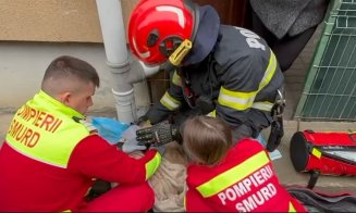 De la ce a pornit incendiul de la Florești. O pisică a murit, dar alte 6 au fost salvate