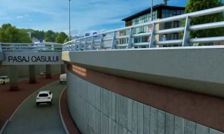 Proiectul pasajului Muncii - Oașului în linie dreaptă: Lungime de 444 metri, dintre care 113 metri în subteran / Tarcea: ”Am demarat procedurile de ex