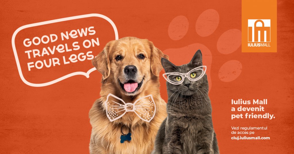 Experiențe pentru întreaga familie, inclusiv pentru căței și pisici. Iulius Mall Cluj a devenit pet friendly