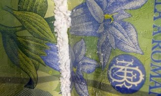 Percheziții de amploare în Cluj: cum a ajutat o avocată traficanții de droguri și ar fi intermediat contacte cu deținuți