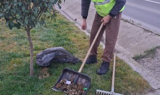 Primăria Apahida, apel ferm către stăpânii de animale: „Strada nu e toaletă pentru animale!”