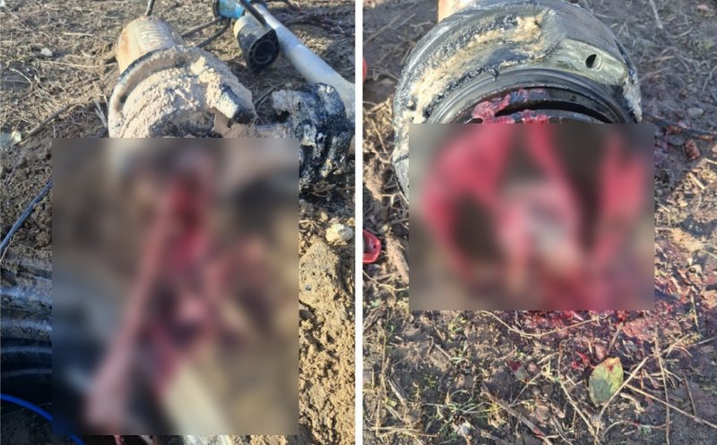 Incredibil! Ce au găsit echipele tehnice ale Companiei de Apă Someș după ce au curățat o stație de pompare. "Nu au ce căuta în rețeaua de canalizare"