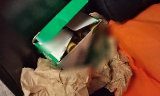 Polițiștii din Cluj au ajutat la destructurarea unei rețele de trafic de droguri din Maramureș. Ce au descoperit