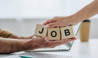 Care a fost cel mai dorit loc de muncă în România în 2025. Top 3 cele mai căutate joburi și ce salarii oferă