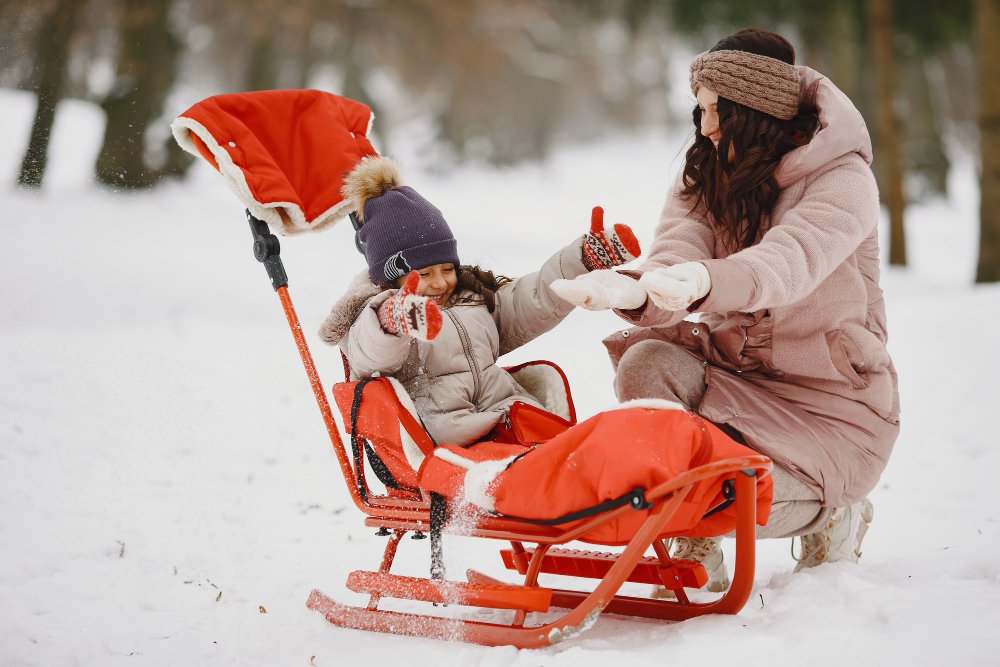 Ghid de cumpărături: cum alegi sania perfectă pentru copilul tău