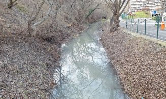 ”Cineva s-o fi gândit că Ajunul Crăciunului e cea mai potrivită ocazie de a polua Canalul Morii” / Sesizare pe MyCluj