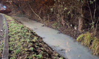 ”Cineva s-o fi gândit că Ajunul Crăciunului e cea mai potrivită ocazie de a polua Canalul Morii” / Sesizare pe MyCluj