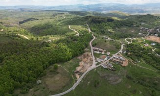 PUG-ul din Ciurila, ANULAT în instanță / ”O șansă pentru plămânul verde al Clujului, Făgetul și habitatele sale protejate”