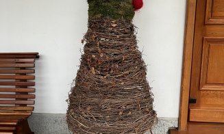 Surpriză de Crăciun la Grădina Botanică din Cluj-Napoca: Au răsărit primii ghiocei. „Natura știe să ne surprindă”