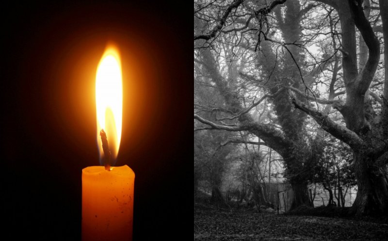 Un tânăr de 25 de ani, dat dispărut, a fost găsit mort într-o pădure din Cluj. Detalii șocante