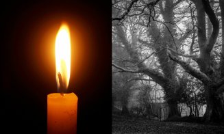 Un tânăr de 25 de ani, dat dispărut, a fost găsit mort într-o pădure din Cluj. Detalii șocante